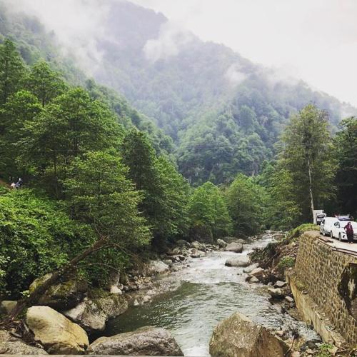  Bademoğlu Apart, Rize bei Gito Yaylasi