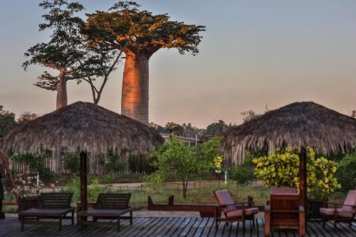 Вид, RELAIS DU KIRINDY in Morondava