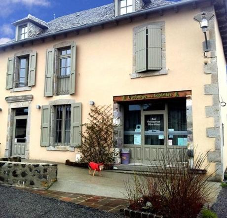 Auberge de la Sapinière photo 16