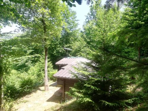 Zlatar Lake - cottage