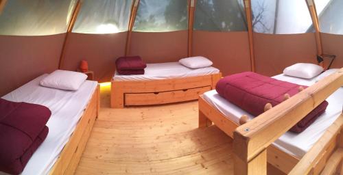 Camping l'Avelanede in Artignosc-sur-Verdon