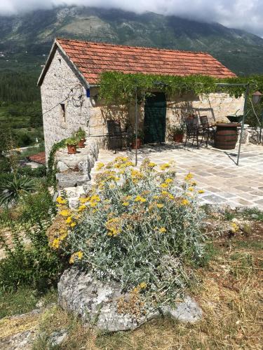  Apartment Jelena in Gruda