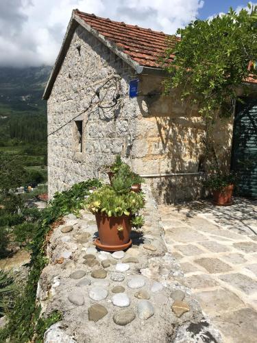  Apartment Jelena in Gruda