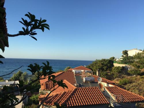  Ikaria marinos in Gialiskarion