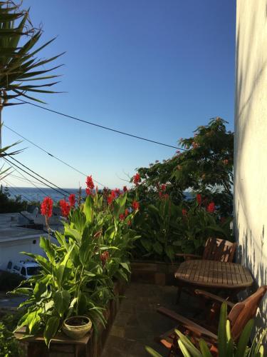  Ikaria marinos in Gialiskarion