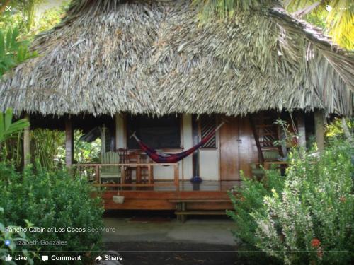 Bungalow room in Cabinas Los Cocos