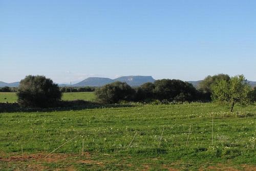 Casa Rural cerca Es Trenc