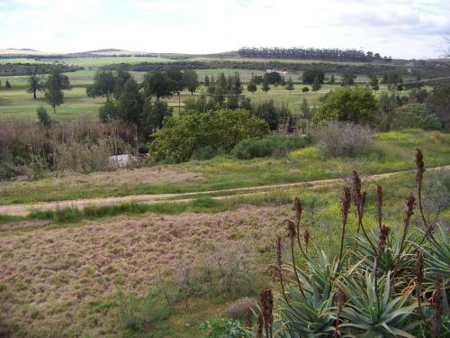 Lemontree Cottage in Heidelberg (Western Cape)