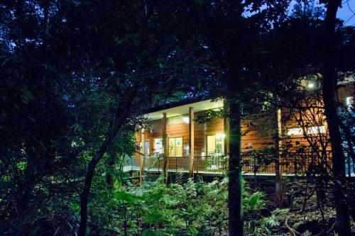 Vue extérieure, Jaguarundi Jungle Lodge - Monteverde in Monteverde