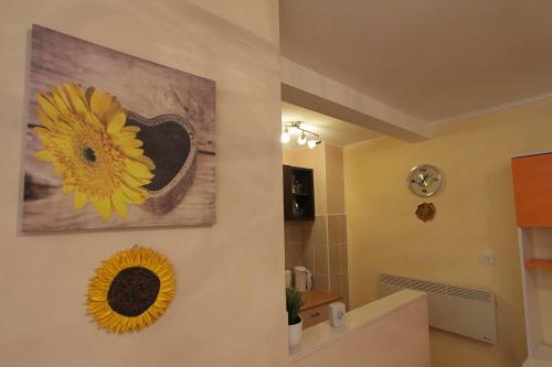 บริการและสิ่งอำนวยความสะดวก, Apartment Tancabel in ลอฟราน