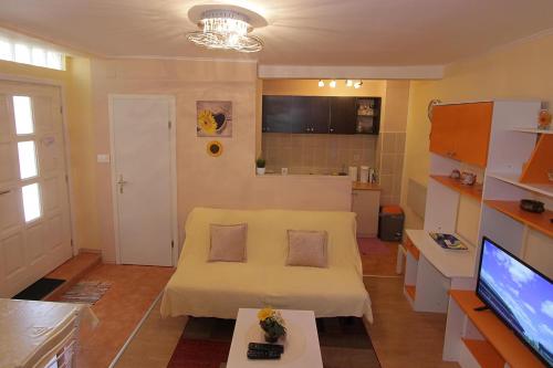 ห้องส่วนกลางสำหรับนั่งเล่น/ดูทีวี, Apartment Tancabel in ลอฟราน