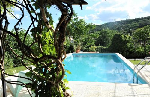 Villa Regina Serafina, Balchik