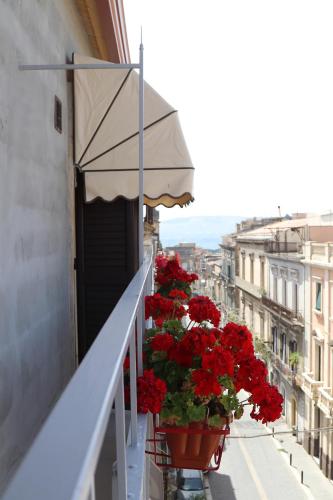 B&B Bellavista Francofonte - image 2