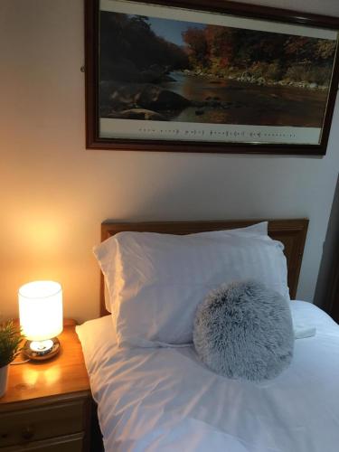 Terra Nova Hotel - image 10