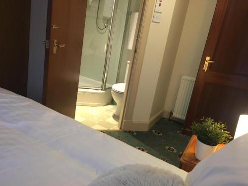 Terra Nova Hotel - image 13