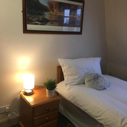 Terra Nova Hotel - image 4