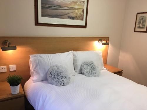 Terra Nova Hotel - image 2