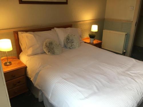 Terra Nova Hotel - image 3