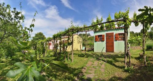 Glamping Green Istria Tiny Houses