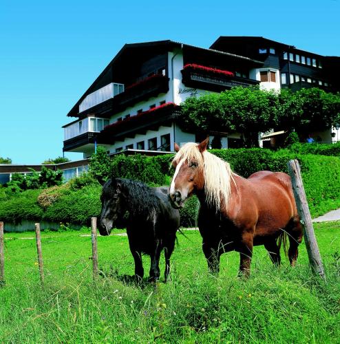 Aldranser Hof in Innsbruck, Österreich