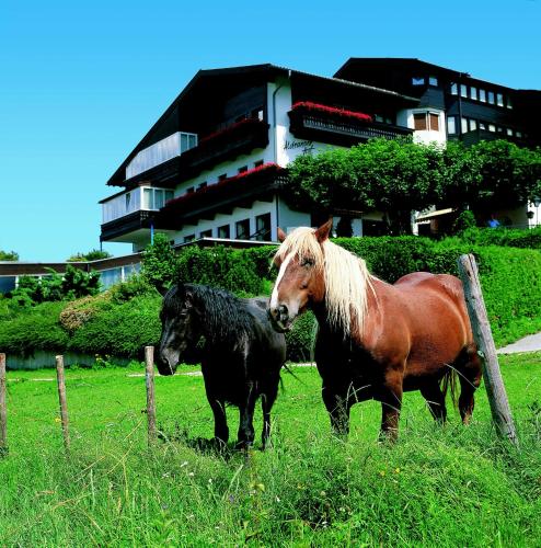 Aldranser Hof Innsbruck - Igls