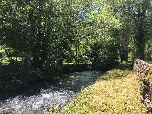 Au bord de l'eau