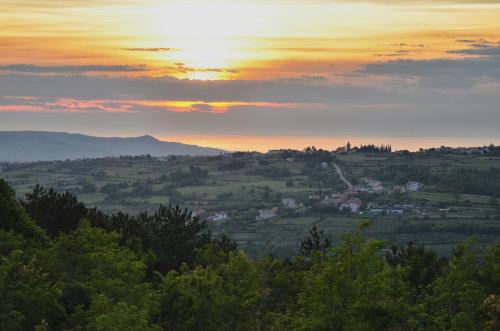 Guesthouse Green Istria - Accommodation - Truške