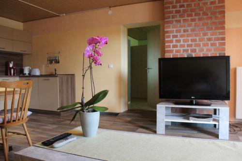 Koplietošanas atpūtas telpa ar TV, Ferienwohnung im Grünen (Ferienwohnung im Grunen) in Nunchritz