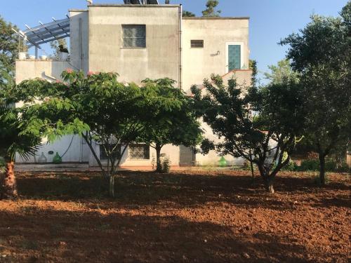La casa di Sergio 3