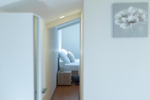Apartmani Admiral - image 11