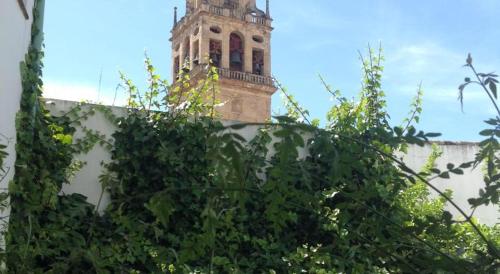 Entre 2 Mezquitas Apartamento 8, Кордова (фото 10)