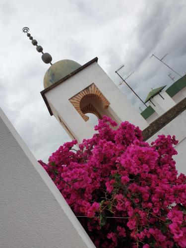 Entre 2 Mezquitas Apartamento 8, Кордова (фото 11)
