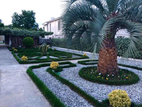 Green Garden - Accommodation - Zugdidi