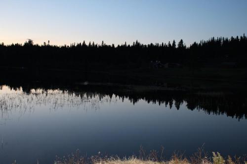 Måsåplassen Friisvegen Mountain Lodge