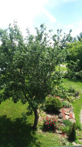 設施, Motel Shantik in 蒙特貝羅