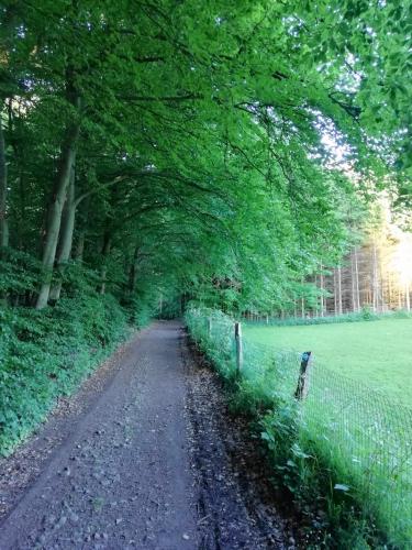 Omgeving, Terrasses de Malmedy F&L triplex 214 et studio 320 et 317 et Studio supérieur 340 (Terrasses de Malmedy F&L triplex 214 et studio 320 et 317 et Studio superieur 340) in Malmedy