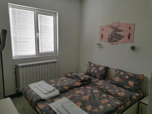 DIVA KOMPANI ROOMS - Accommodation - Berovo