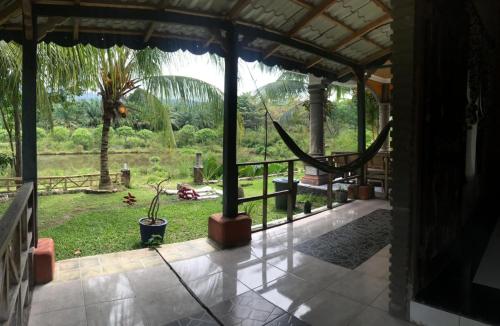 Létesítmények, Sumatra Cheeky Monkeys in Bukit Lawang