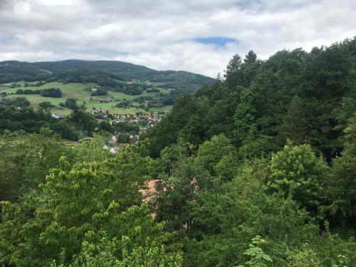 Gîte du ROCHER - Location saisonnière - Lapoutroie