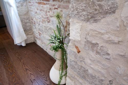 Speruna Luxury Inn - image 4