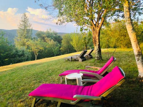 B&B Chamborigaud - Gite de La Jasse - Bed and Breakfast Chamborigaud