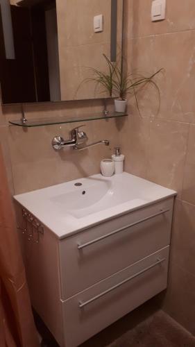  Apartments Ivandic in Trpanj