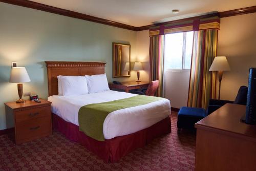 Suites las Palmas, Hotel & Apartments. – San Salvador