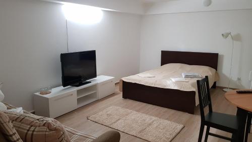 1 queen bed, 1 sofa bed