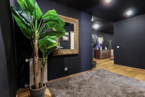 Amazing Downtown Family Apartment with terrace and parking, Lisbon (photo 4)