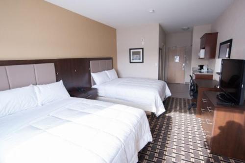 2 queen beds