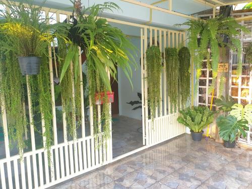 297 Nature Residence, Bangkok