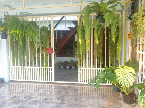 297 Nature Residence