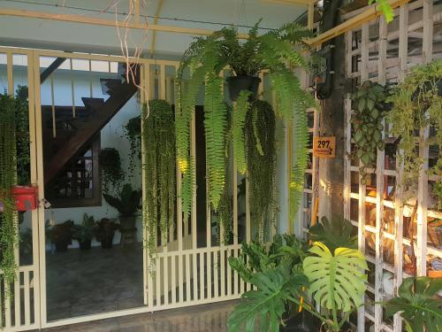 297 Nature Residence