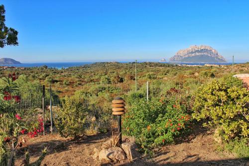 Casa Vacanze - Via Monte Nieddu, 22 gîte à louer Case Trudda